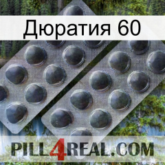 Дюратия 60 31